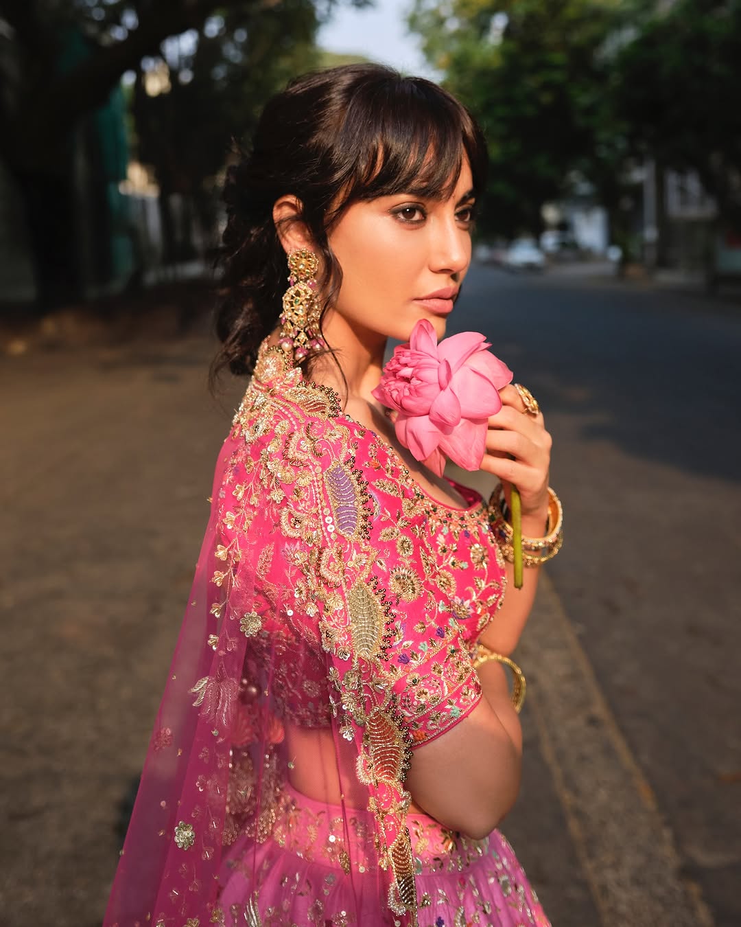 Gulraaz - Pink Ombre