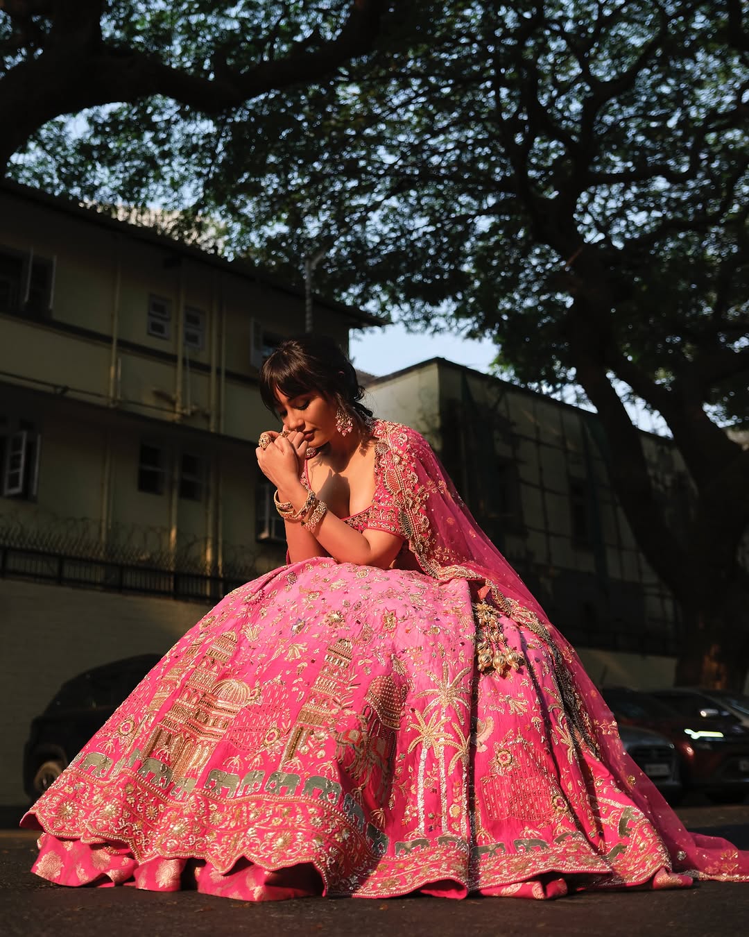 Gulraaz - Pink Ombre